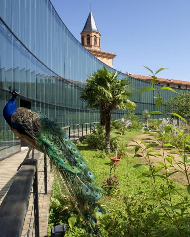 photo illustration musée